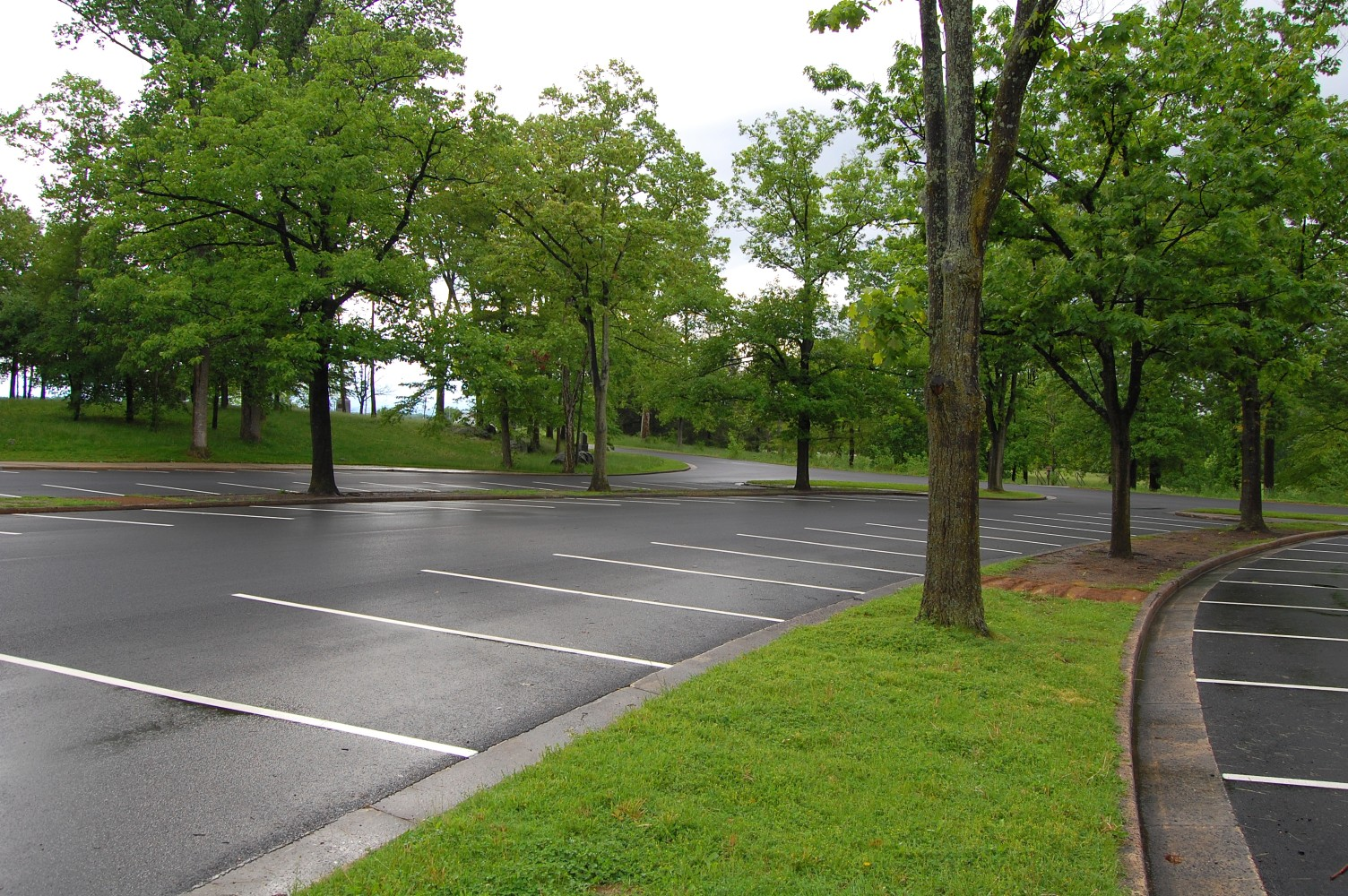 Parking Lot At Yamhill. OR