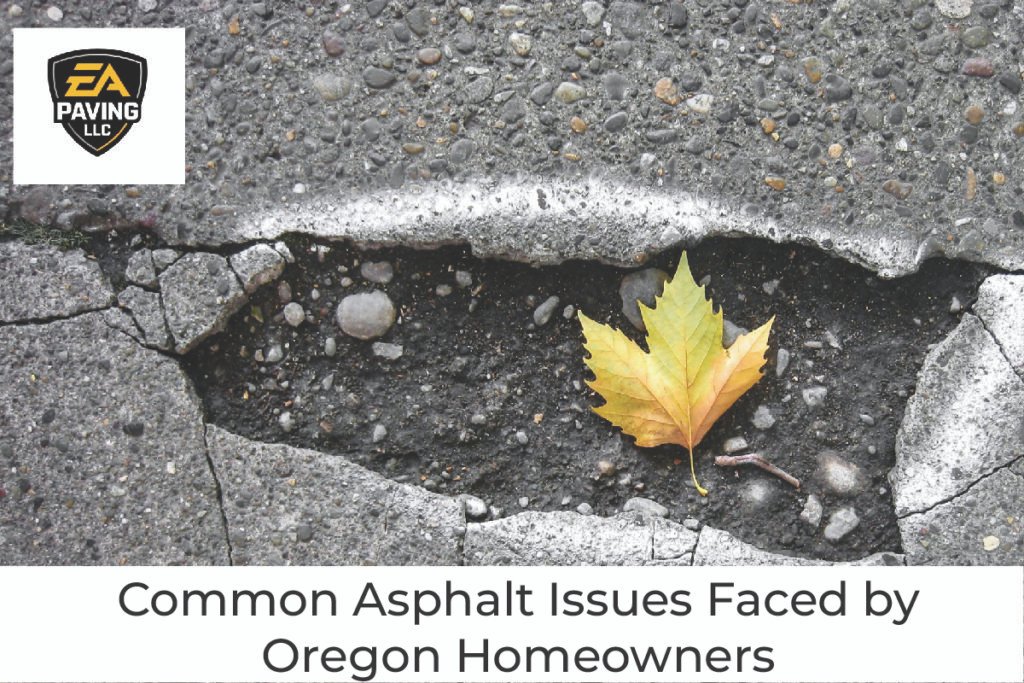 Common Asphalt Issues Faced by Oregon Homeowners