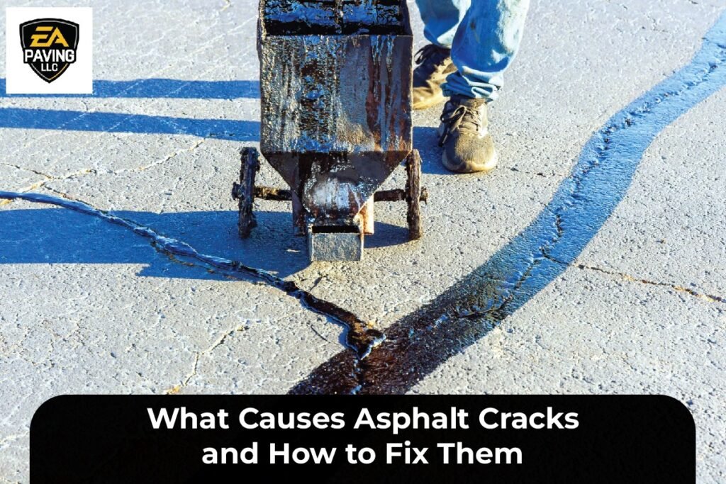 What Causes Asphalt Cracks and How to Fix Them